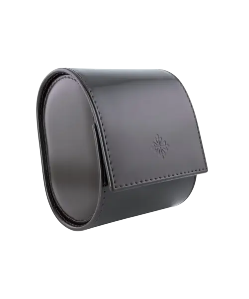 Patek Philippe Watch Case Lak Bruin